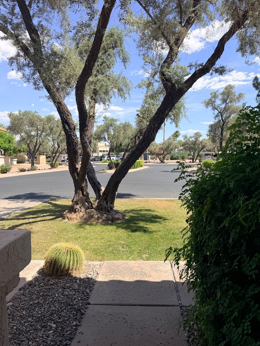 View from front door