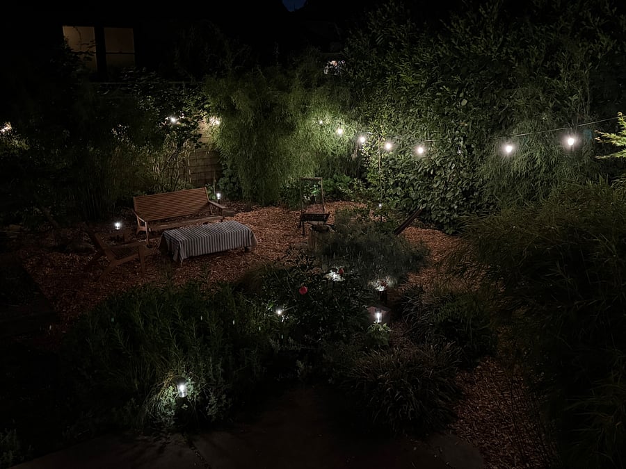 Garden by night