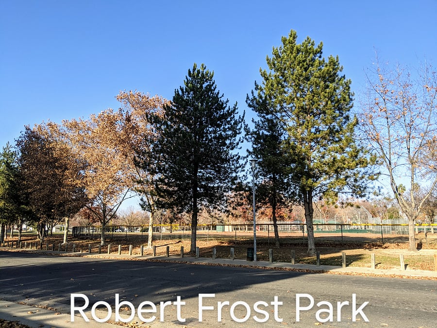 Family park across the street