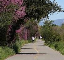 Los Gatos Creek Trail
