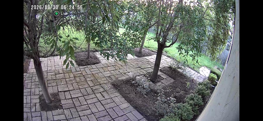 Patio/Backyard