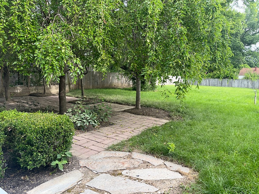 Patio/Backyard