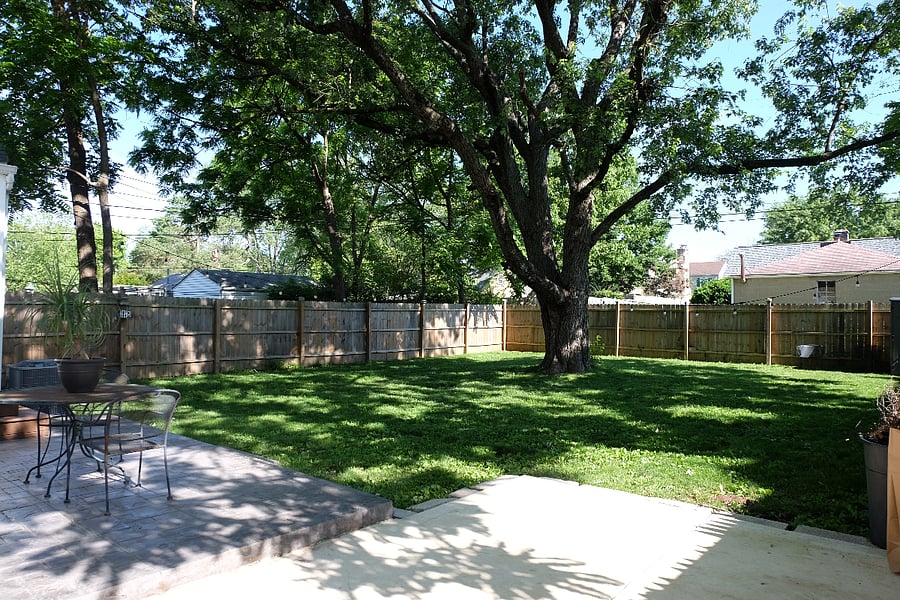 Back yard