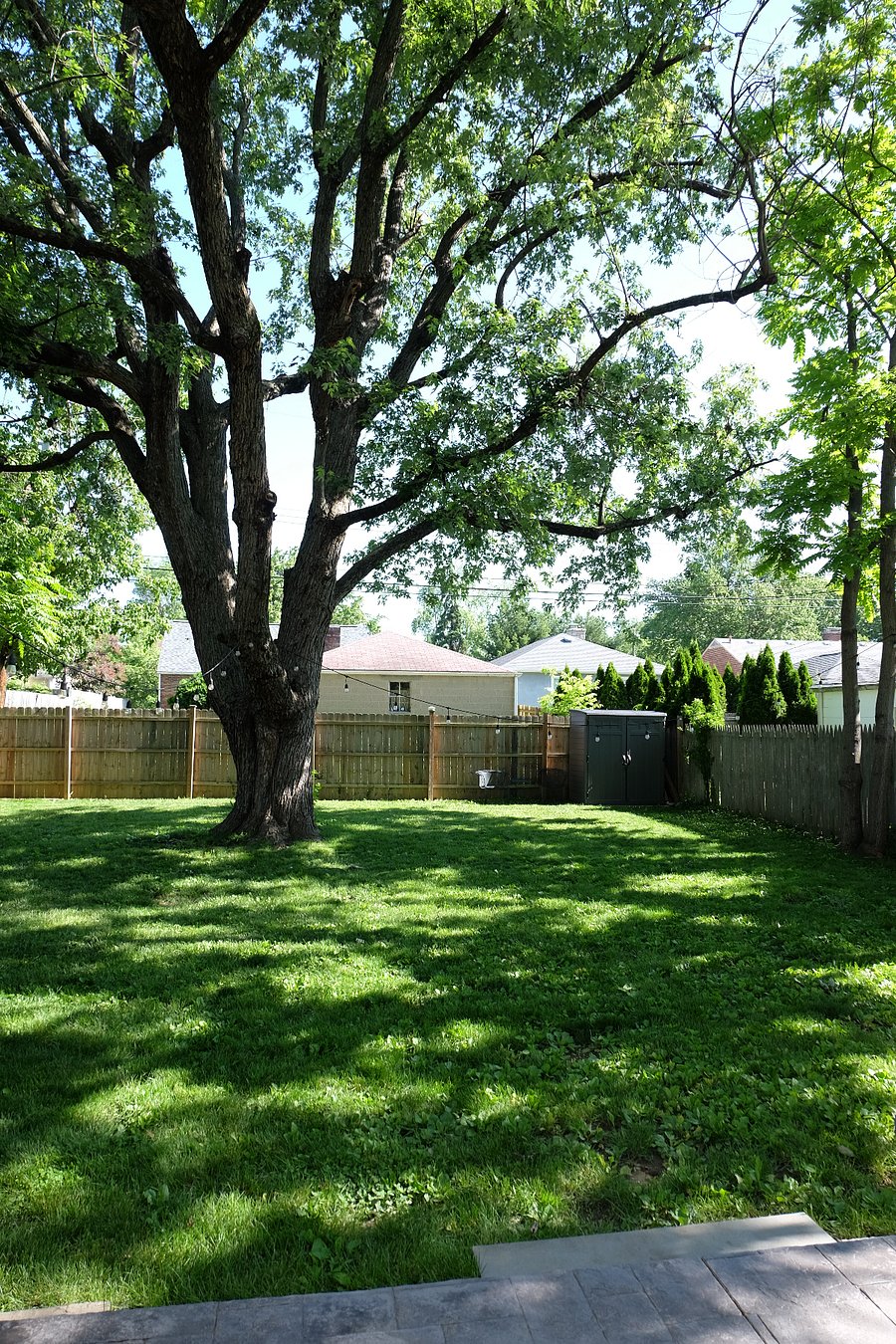 Back yard