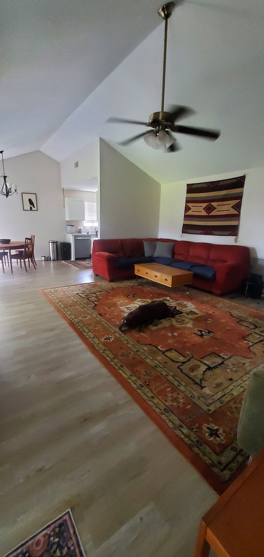 Furnished Finder property 991009_1 photo 3