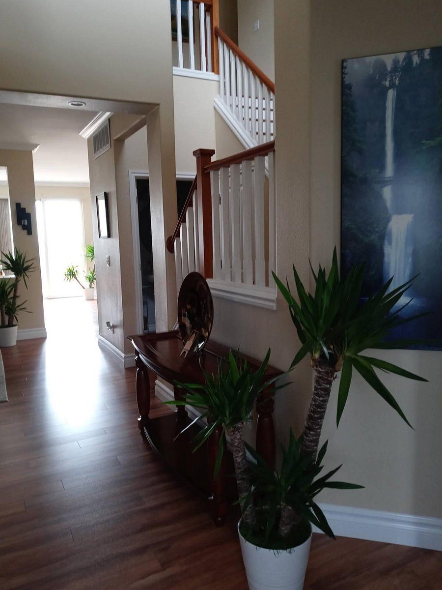 Furnished Finder property 991061_1 photo 12