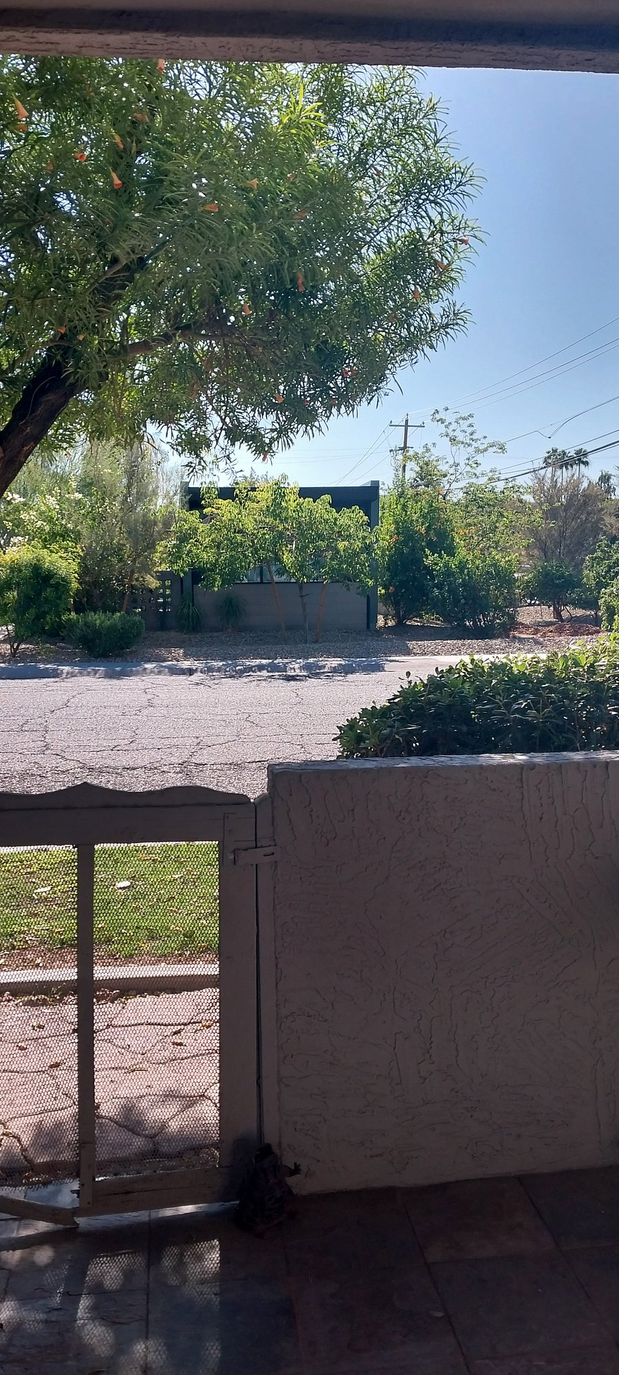 Furnished Finder property 991156_1 photo 8