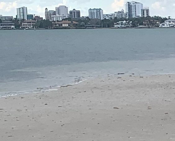 Sarasota Bay
City 2 miles
Siesta Key on the left side of. ONE MILE
NORTH BRIDGE