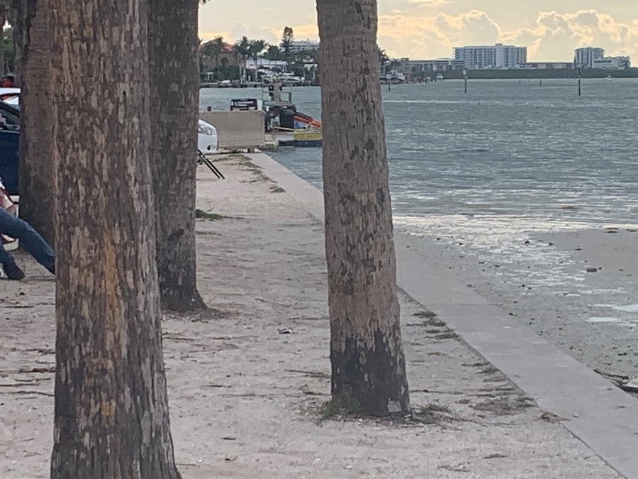 One mile to Gulf
N. Bridge to Siesta Key