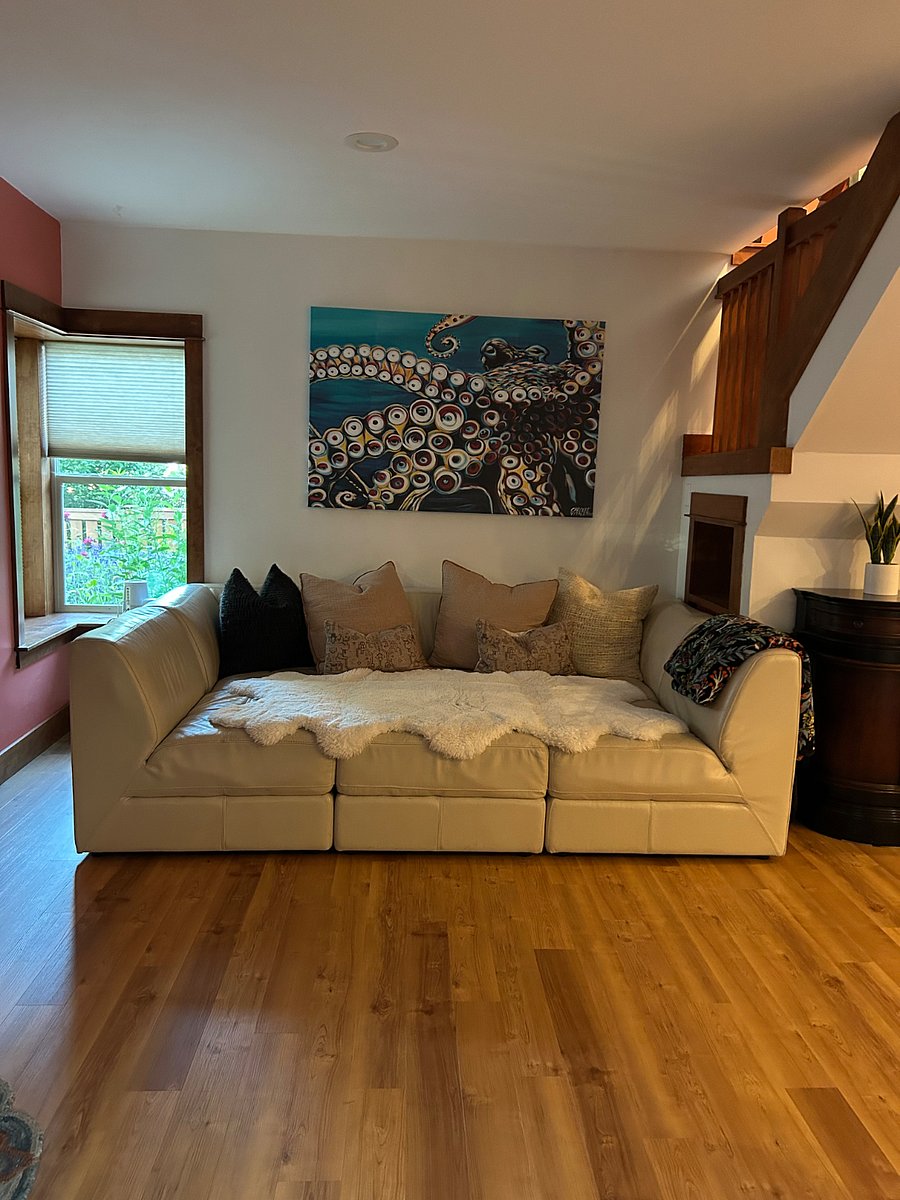 Living room sofa