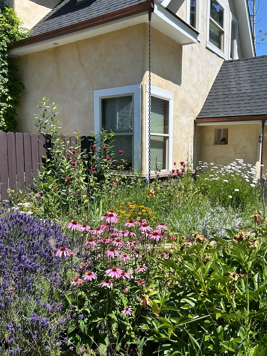 Front garden