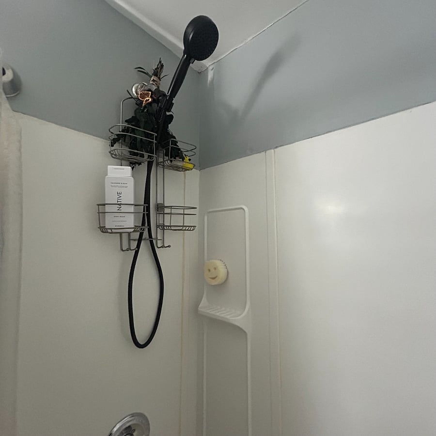 bathroom with detachable showerhead and eucalyptus flowers