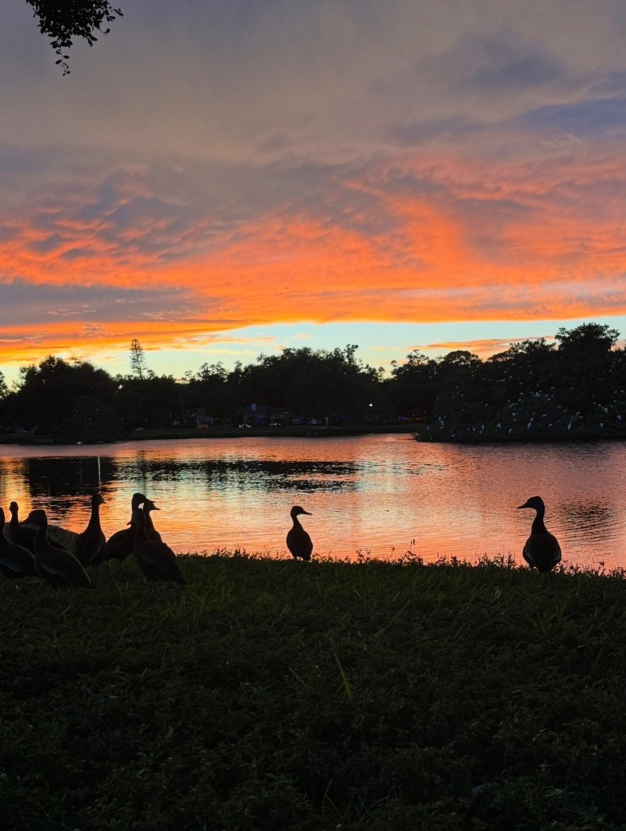 Enjoy sunset while you walk or bike around Lake Pasadena