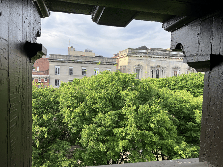 Bedroom view