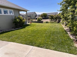 Back yard