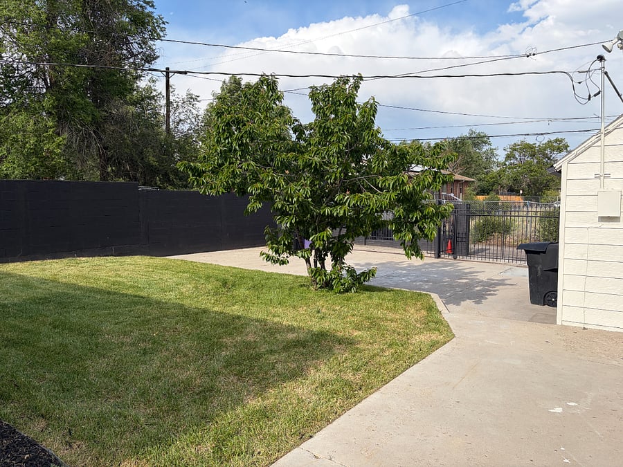 Backyard with a view of your dedicated parking spot