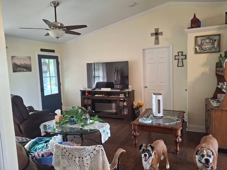 Furnished Finder property 991617_1 photo 6