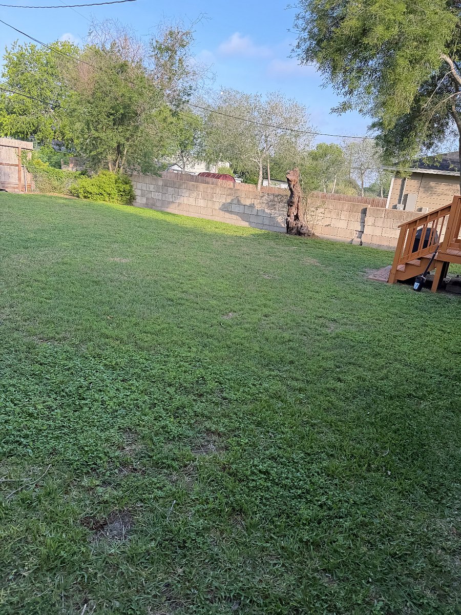 Large backyard, with small deck and propane grill. 