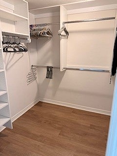 Master closet 