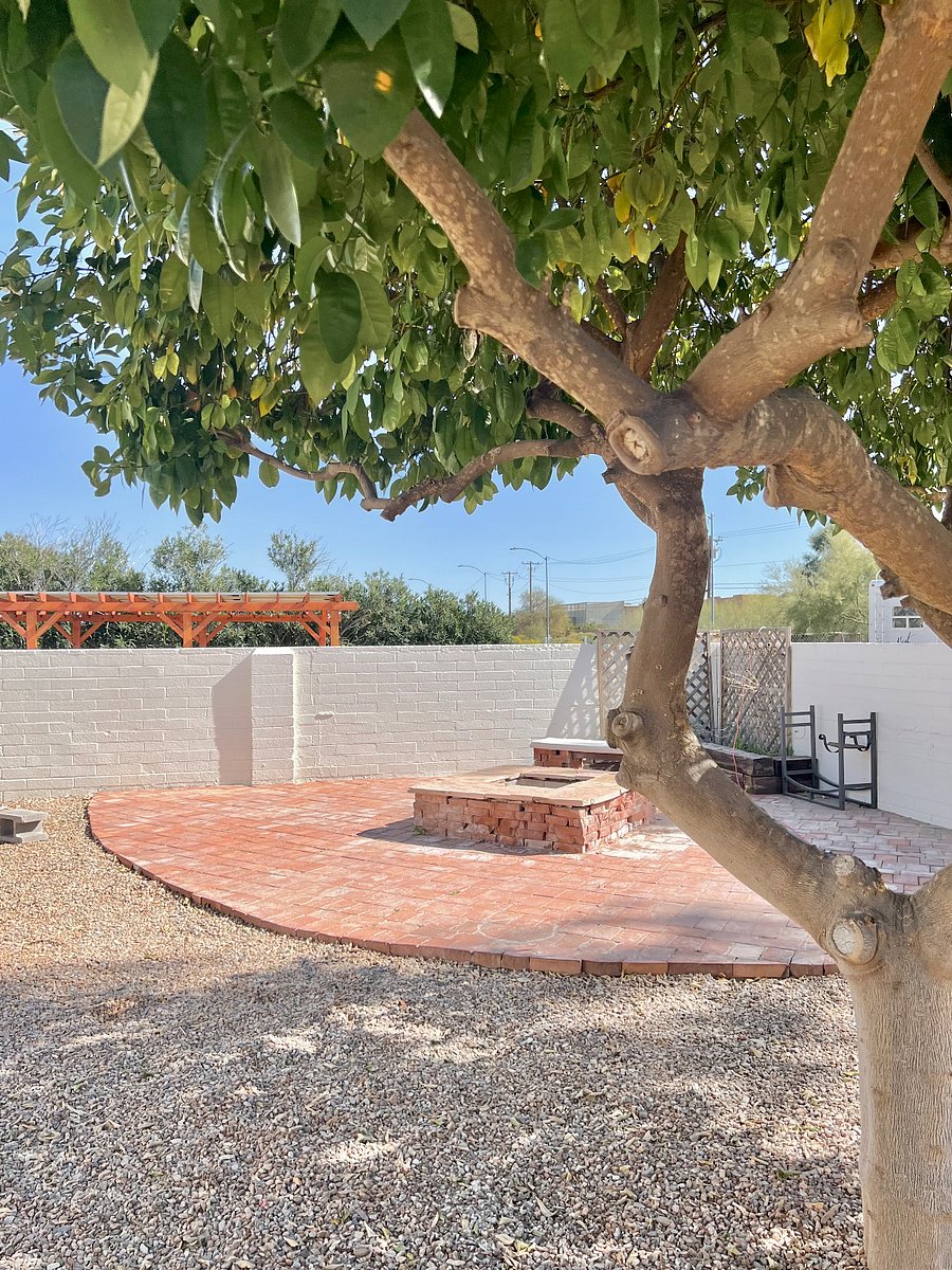 Backyard Firepit