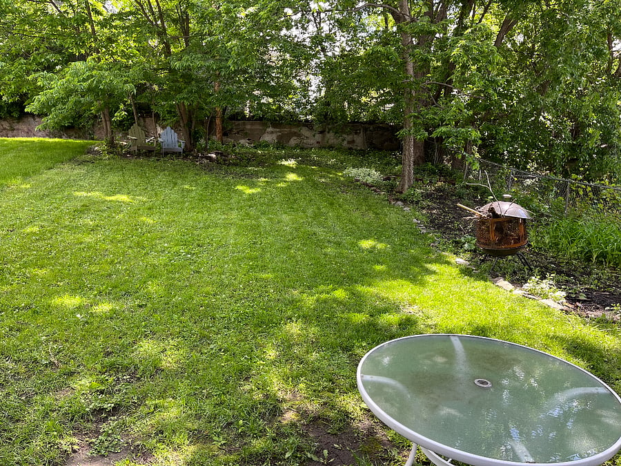Large Backyard