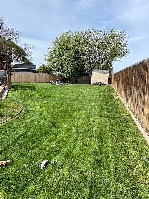 Big back yard
