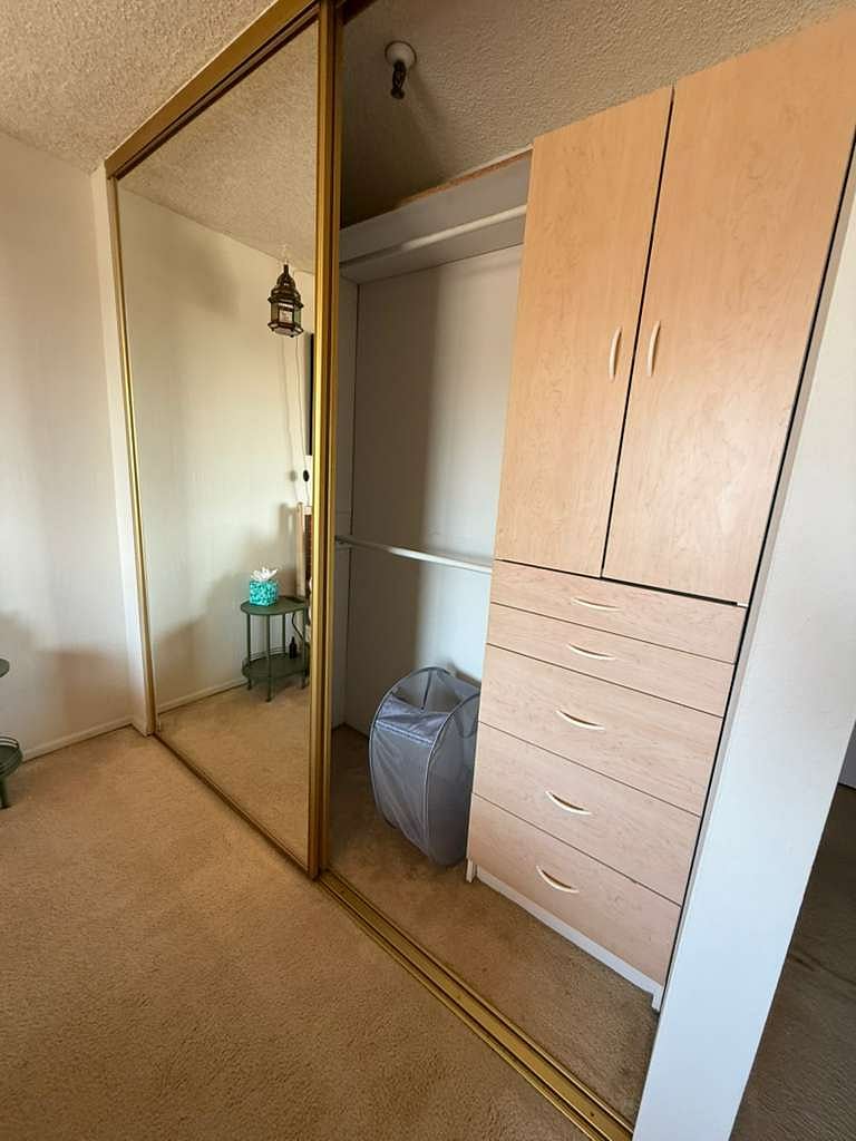 Closet in the space for rent.
