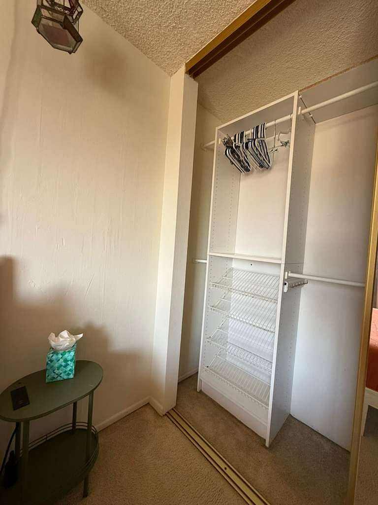 Closet in the space for rent.