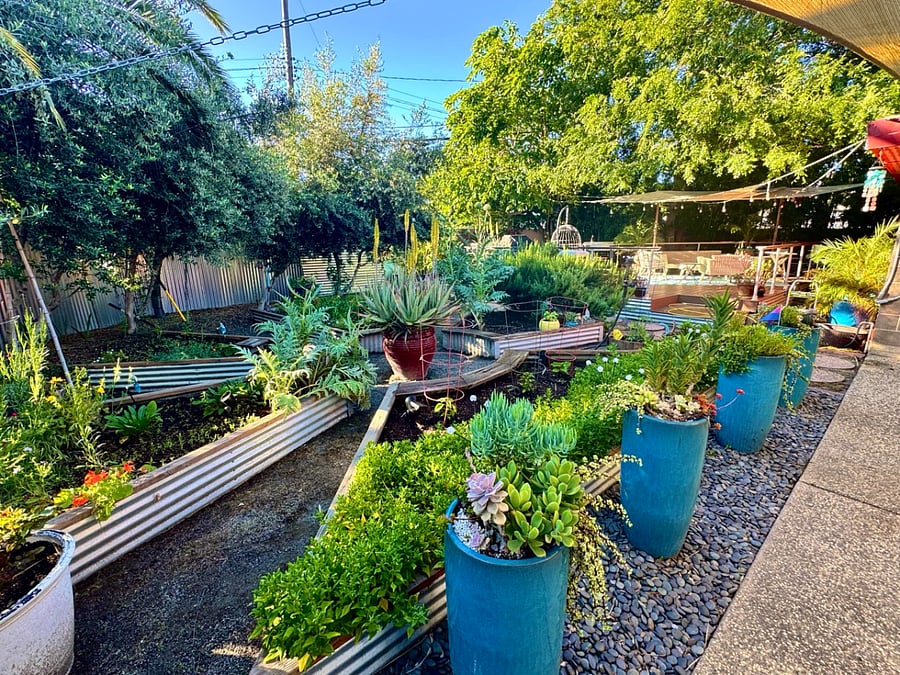 Backyard garden