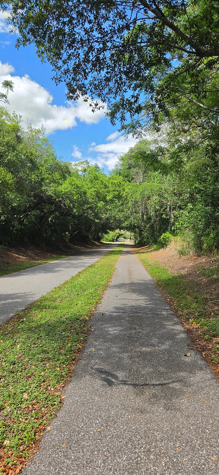 Dunedin Trail accessible from the property for active guests. I usually walk this for exercise daily