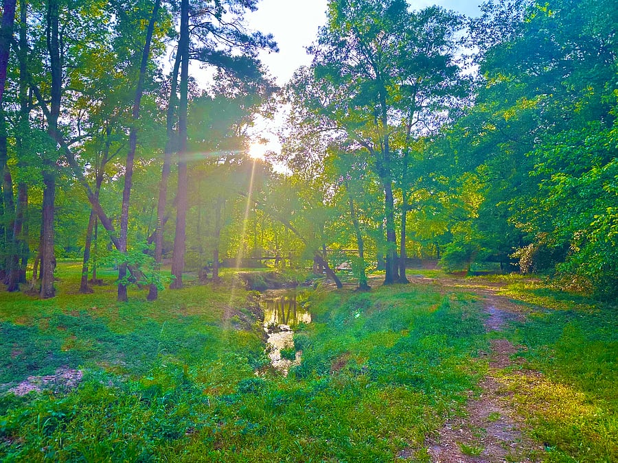 Beautiful trailways just steps from the home.