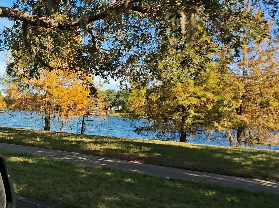Our favorite lake, just 5 min away- with a walking trail and plenty of benches, to sit and watch the ducks, cranes, and other birds!