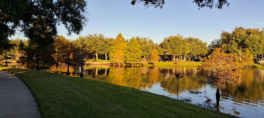 Perfect spot for a picnic blanket!
