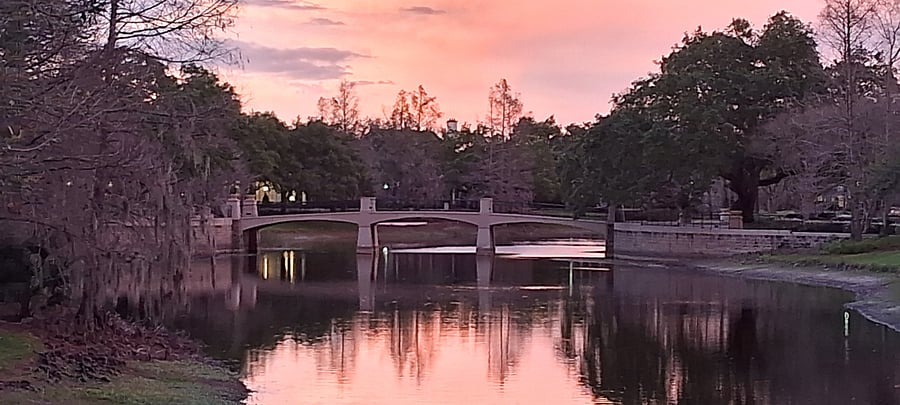 Baldwin is such a great place to walk and explore!