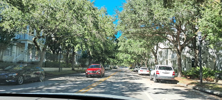 Tree-lined streets here in Baldwin