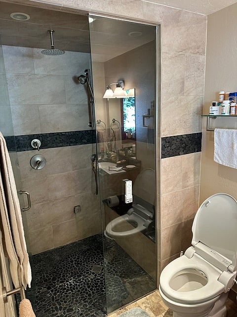 Main bathroom, steam and rain shower