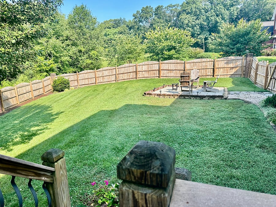 Peaceful yard
