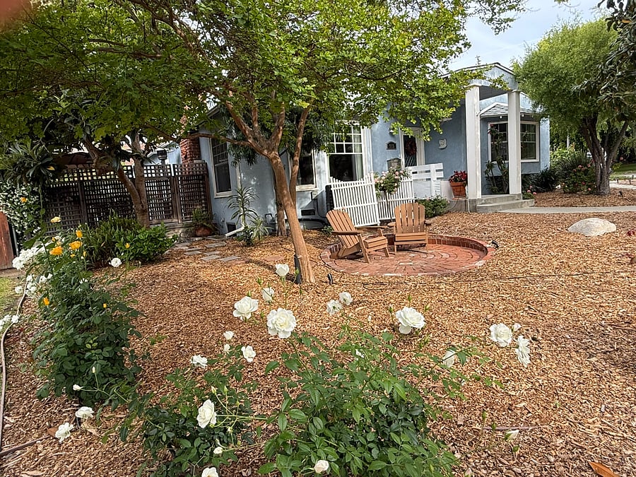 Front Entrance / Garden / Sitting Area
