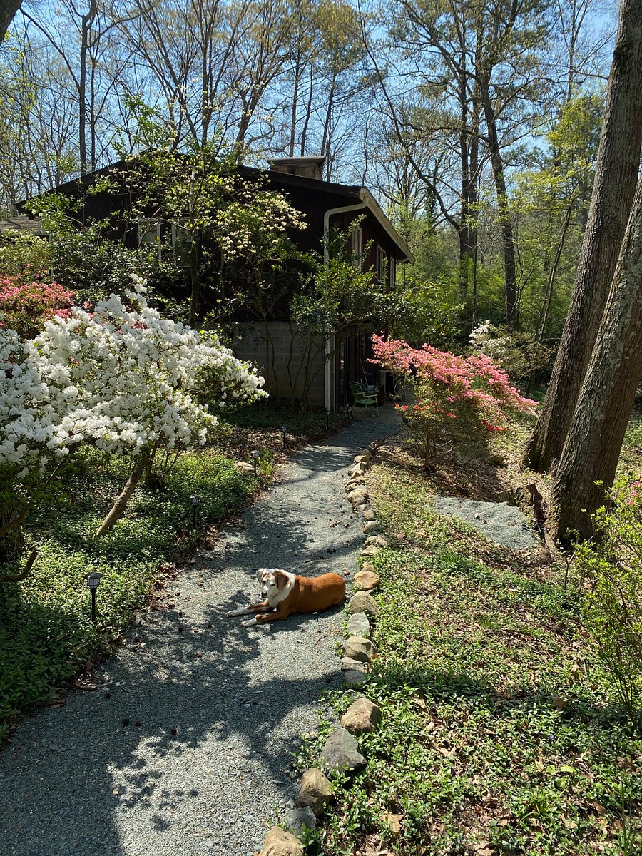 Gravel path to suite.