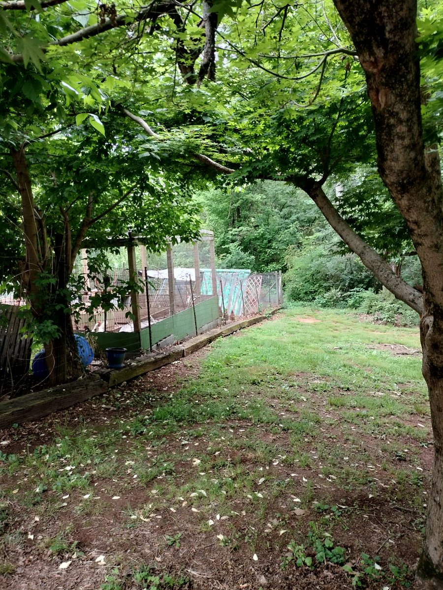 Part of the yard.