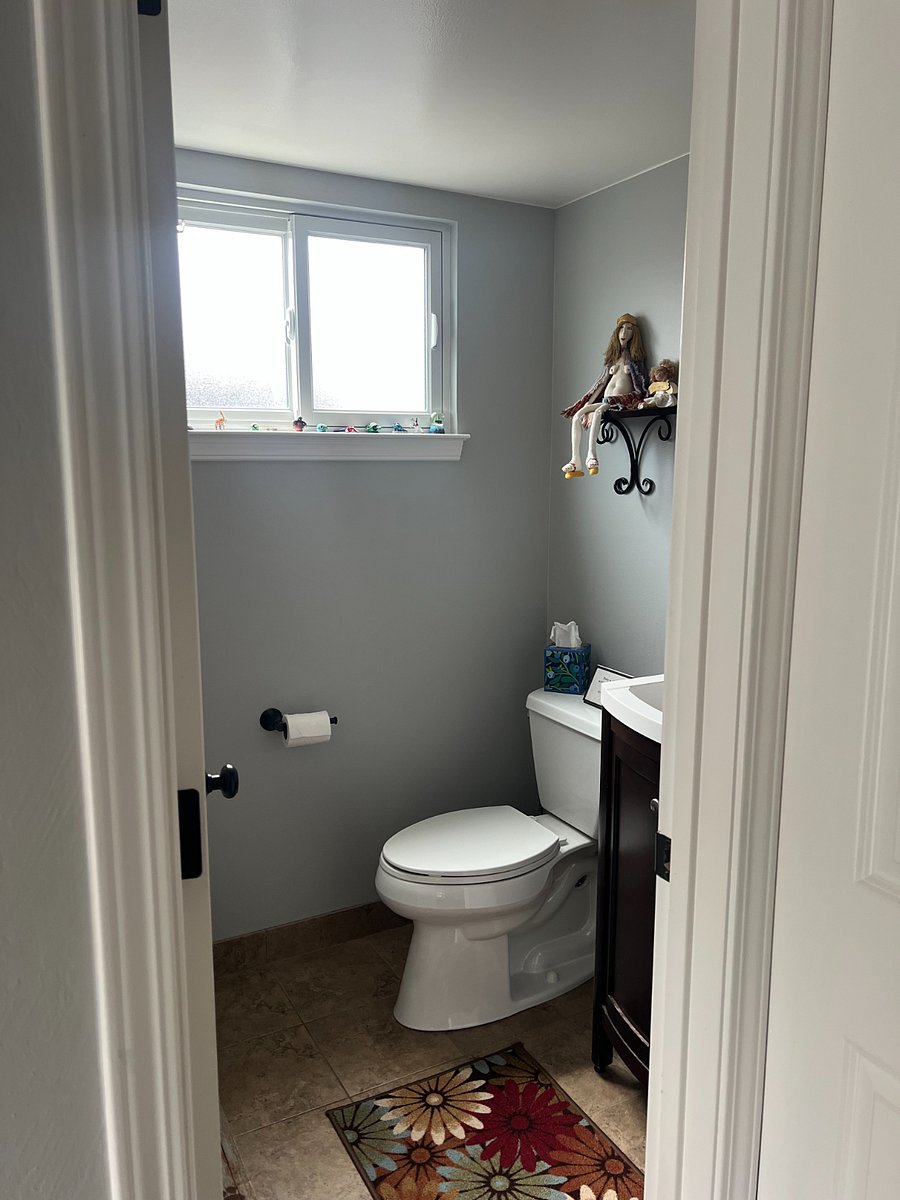 Lower level shared bathroom off tv/fireplace room. 