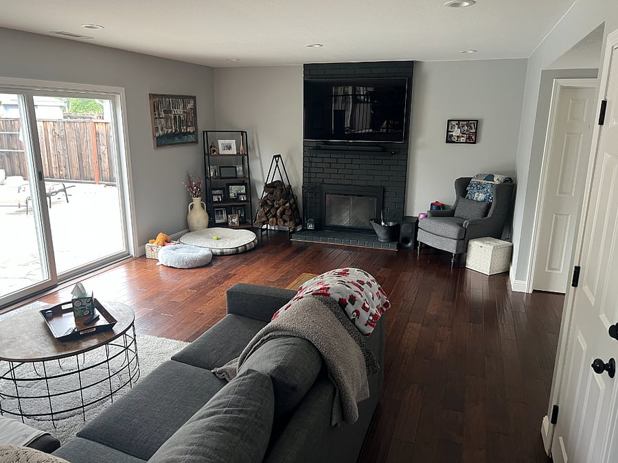 Living room, fireplace (laundry is also here in the closet)