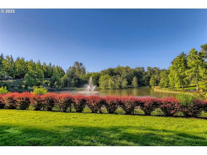 Mill Pond Park