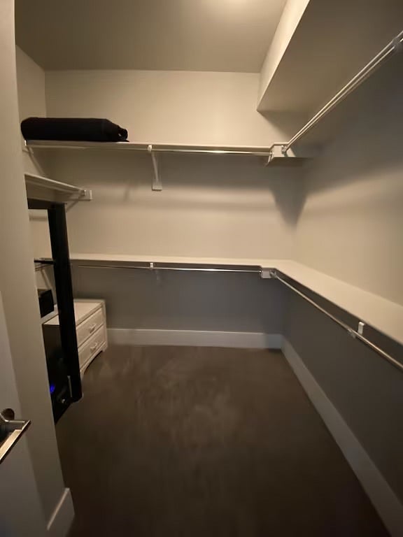Massive walk-in closet in master.