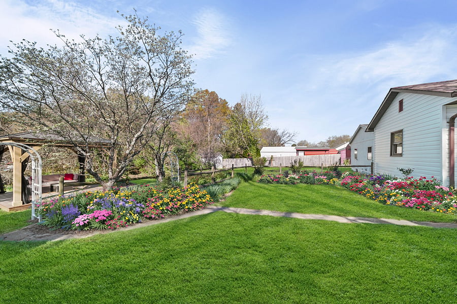 Backyard garden