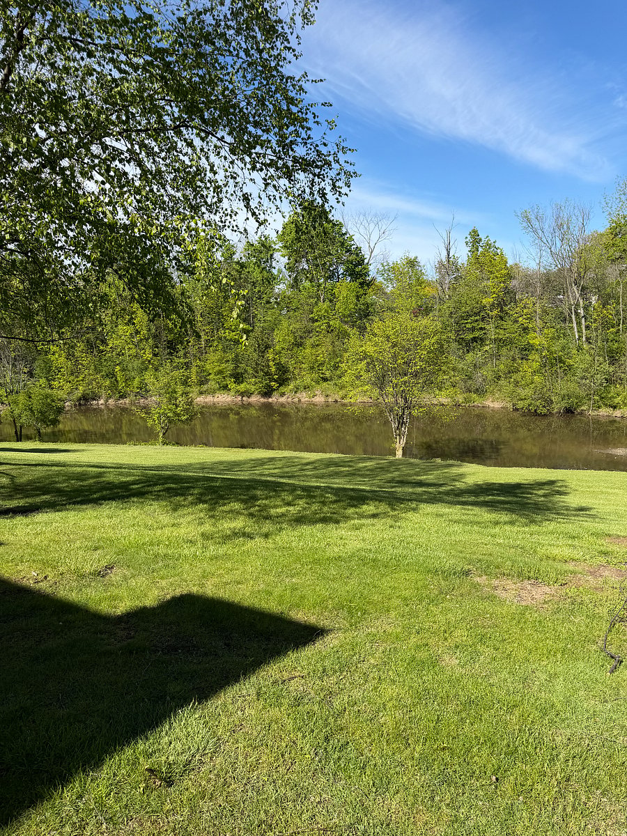 Pond