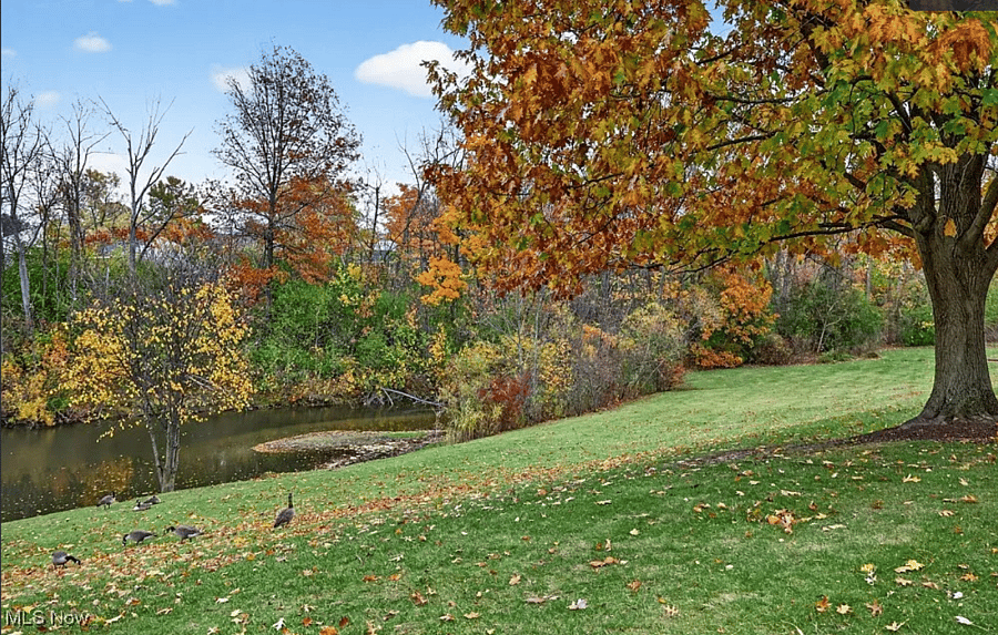 Pond