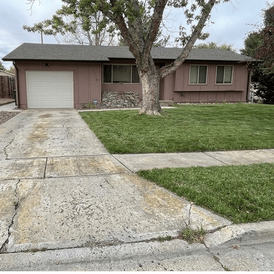 Front yard
