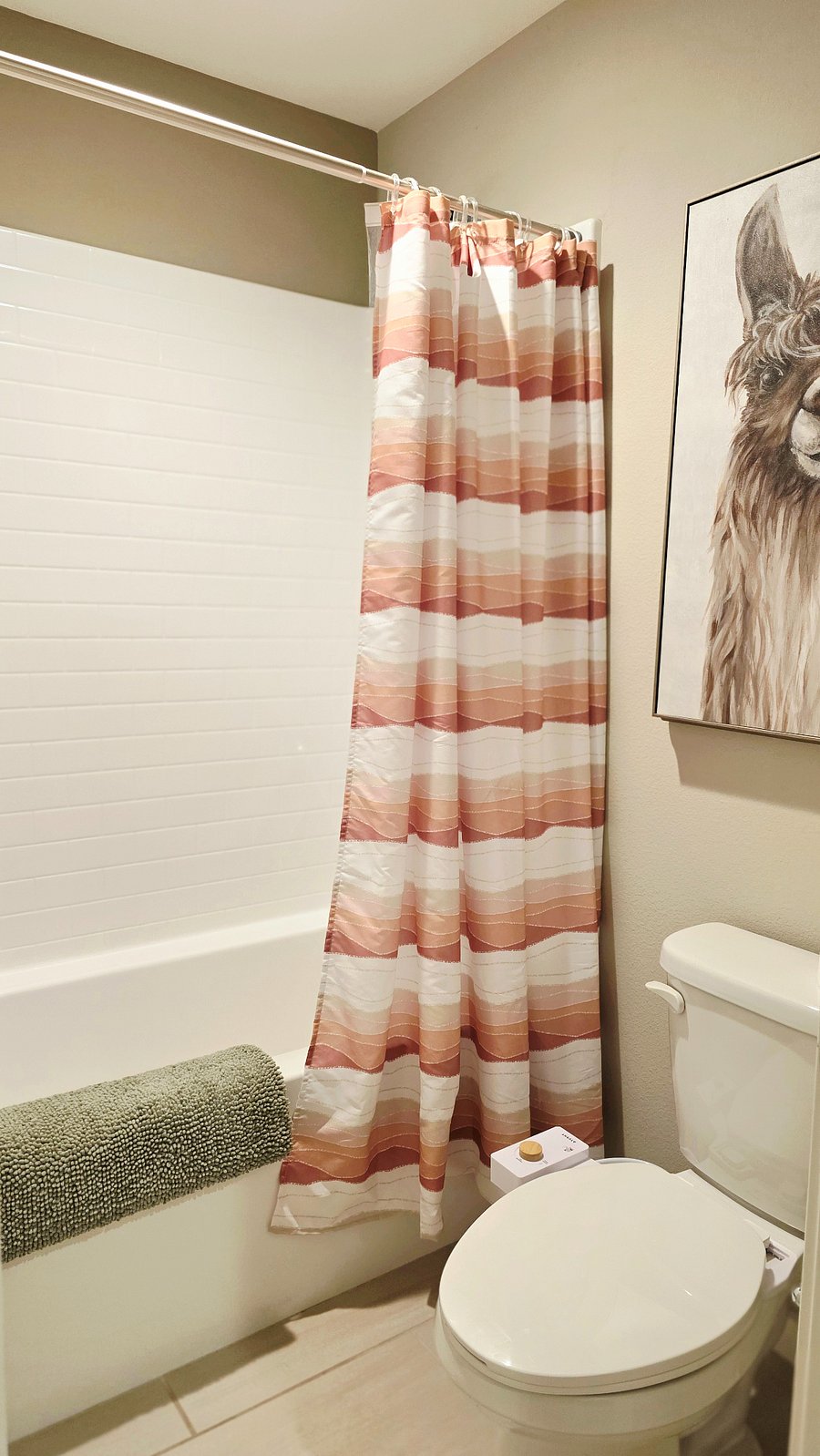 Shared Bathroom Shower