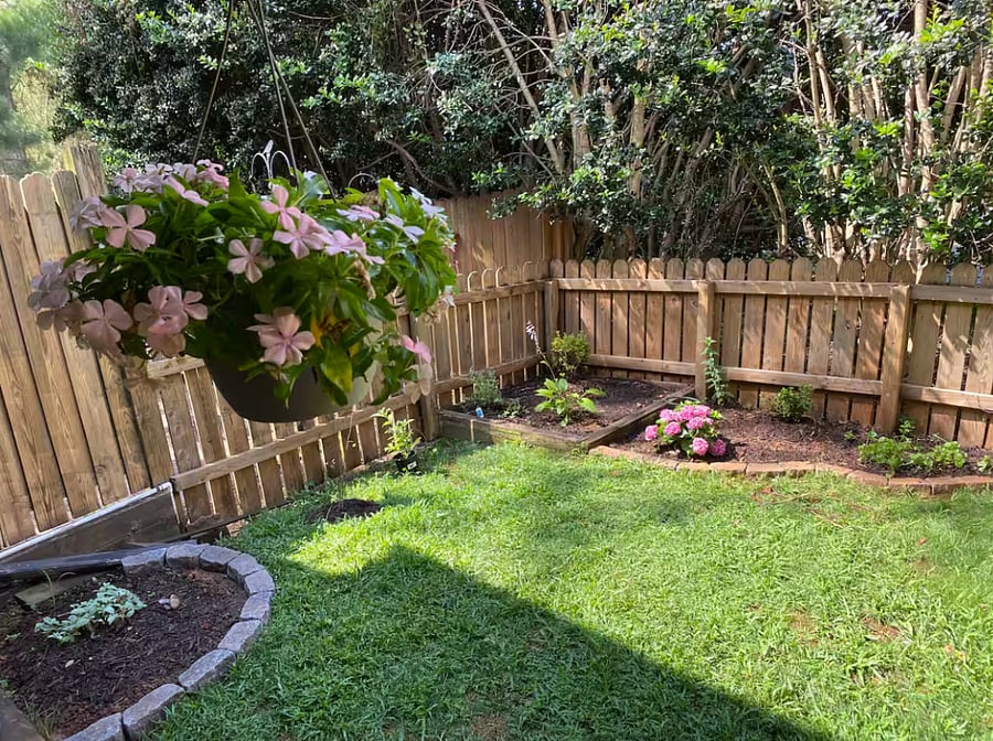 Back yard